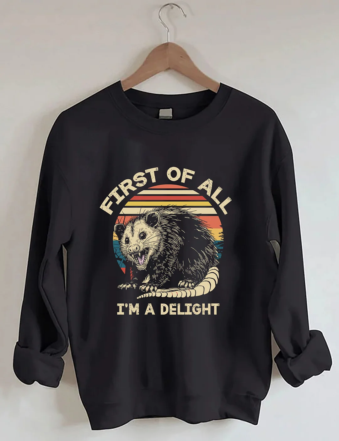 First Of All I'm A Delight Sarcastic Angry Opossum Lover Sweatshirt