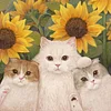 Diamond Painting -DIY Round Partial AB Drill Sunflowers Cat(45x45cm)