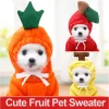 Pet Warm Dog Winter Clothes Cute Fruit Coat