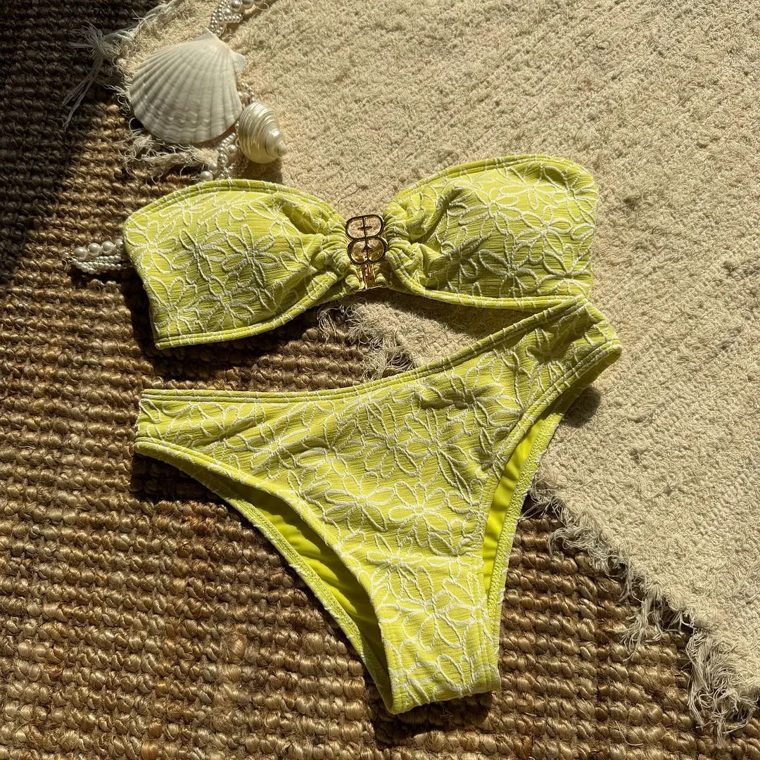 Brownm 2025 New Embroidery Special Fabric Sexy Bra Smear Swimsuit Bikini