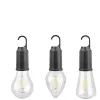 Outdoor Camping Hanging Type-C Charging Retro Light Bulb Lighting Decoration