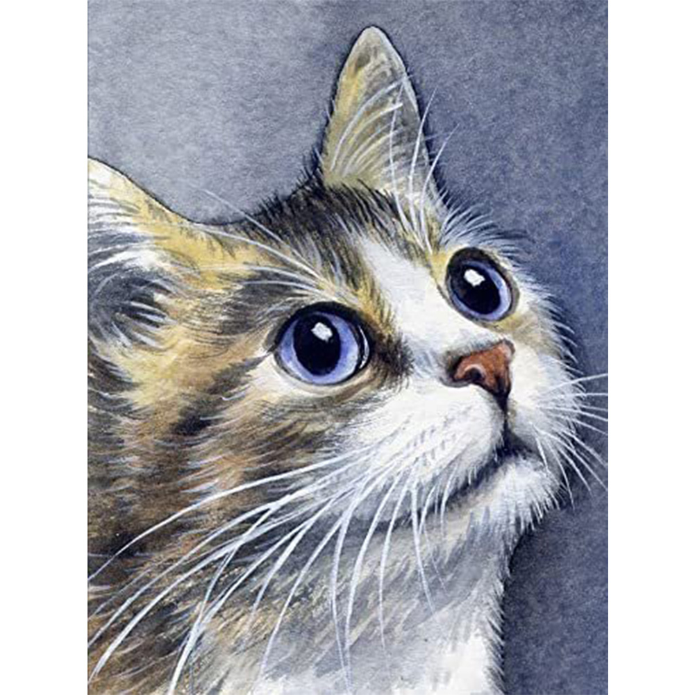 

Cat - Round Drill Diamond Painting - 30*40CM, 501 Original