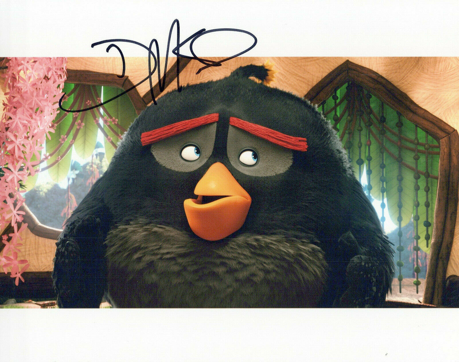 Danny McBride The Angry Birds Movie autographed Photo Poster painting signed 8X10 #4 Bomb