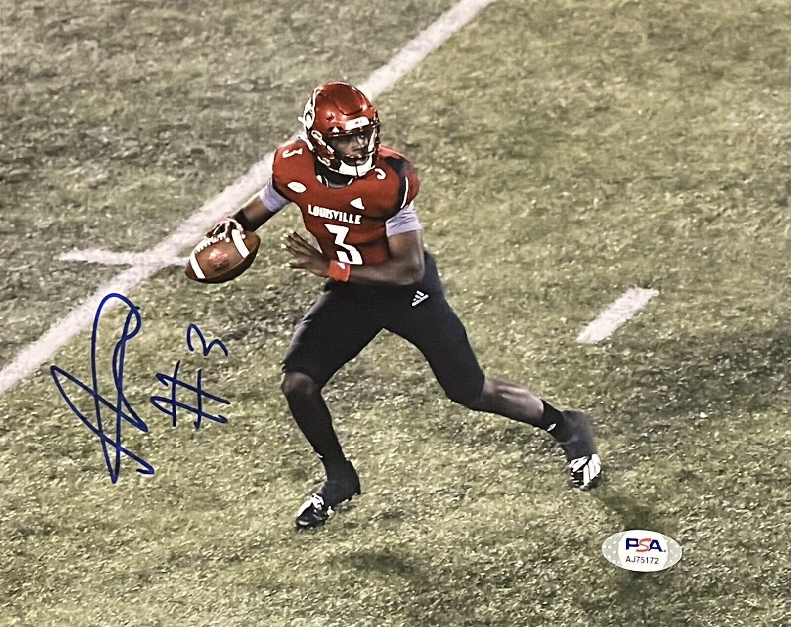 Malik Cunningham Signed Autographed Louisville Cardinals 8x10 Photo Poster painting PSA/DNA