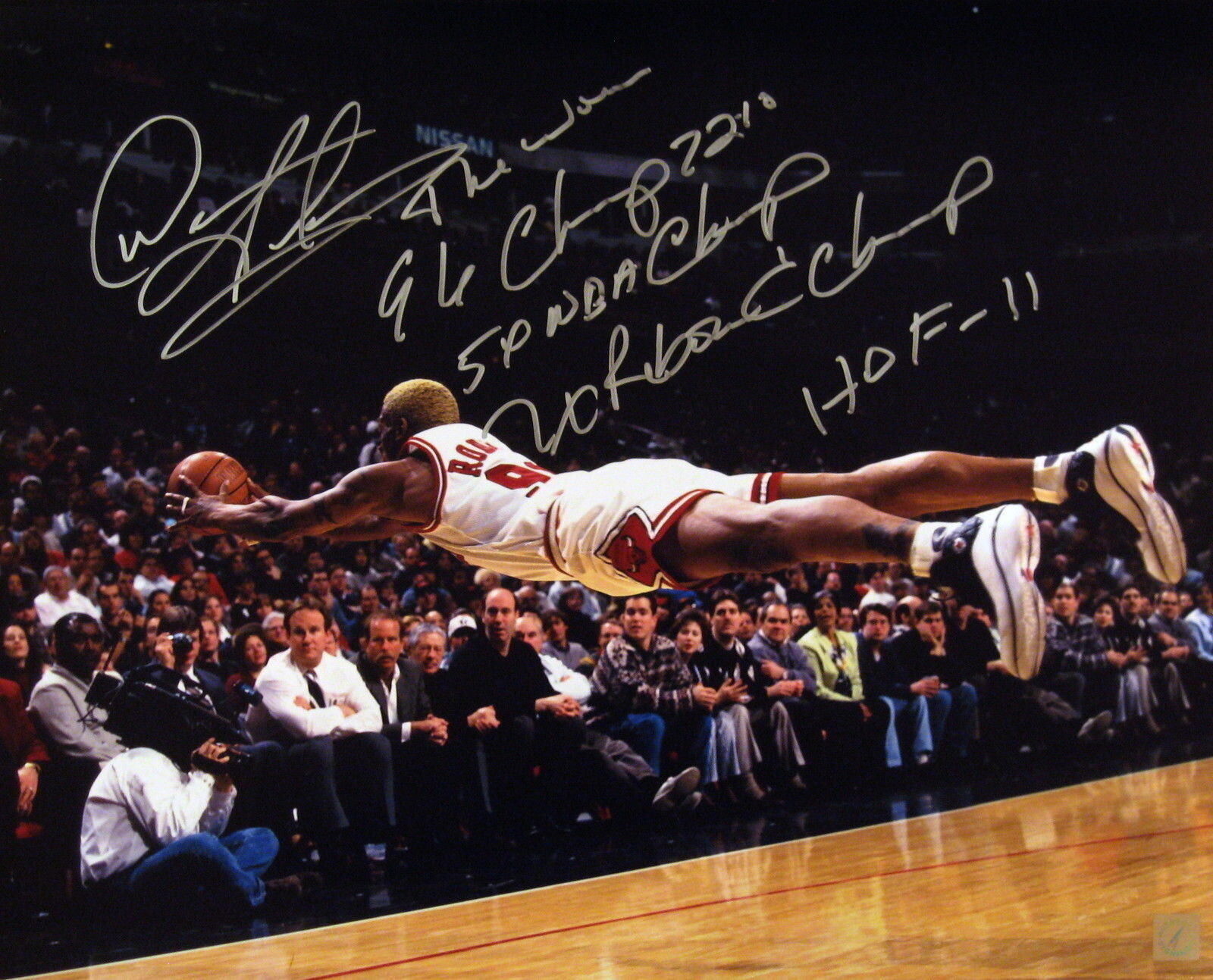 Dennis Rodman Autographed Superman Dive Chicago Bulls 16x20 Stat Photo Poster painting ASI Proof