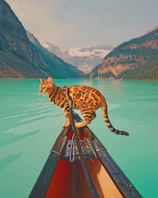 

Bengal Cat In Banff National Park – Paint By Numbers - 40*50CM, 501 Original