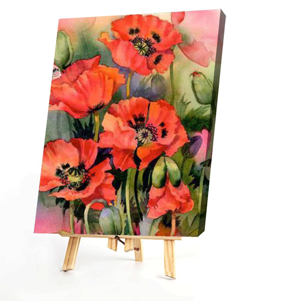 Poppy - Painting By Numbers - 40*50CM gbfke