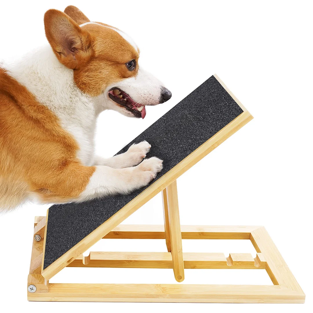 Dog Scratch Pad for Nails