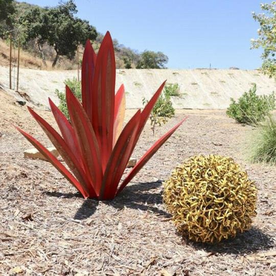 🔥Hot Sales Red Tequila AgavePerfect for garden🔥