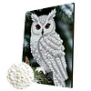 DIY Pearl Painting Owl for Home Wall Decor with Frame(30x40cm)