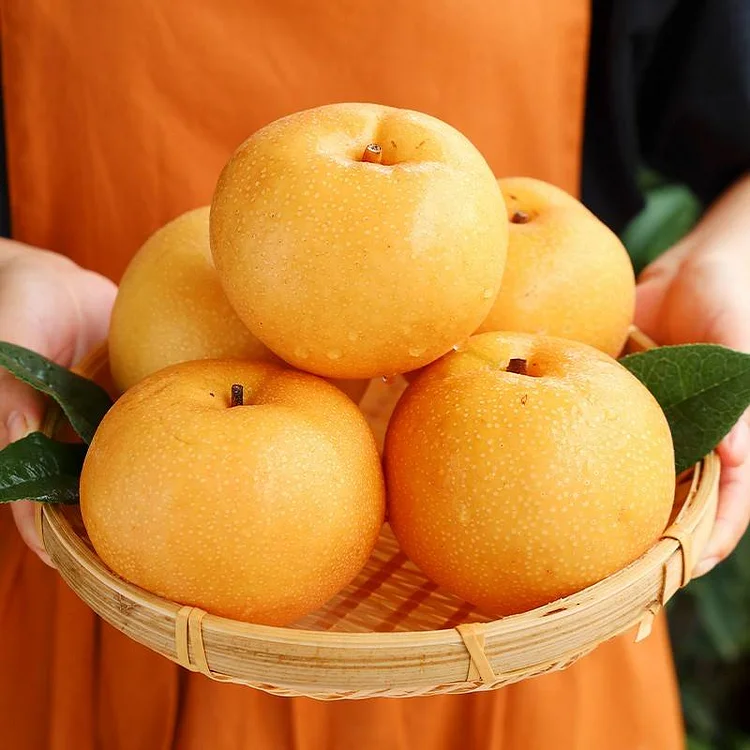Akizuki Pear Seeds – Grow the Sweetest, Juiciest Pears Right at Home!