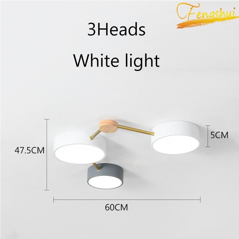 Minimalist Acrylic LED Ceiling Lamp Kitchen Lighting Nordic Indoor Restaurant Decor Ceiling Lights Living Room Bedroom Luminarie