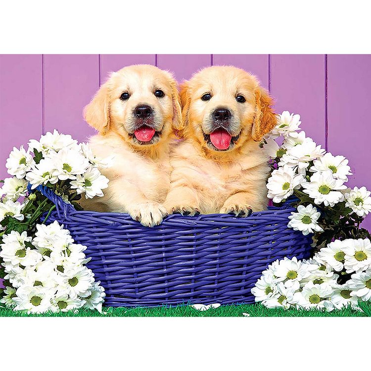Two Dogs in Basket Animal Round Full Drill Diamond Painting 40X30CM(Canvas) gbfke