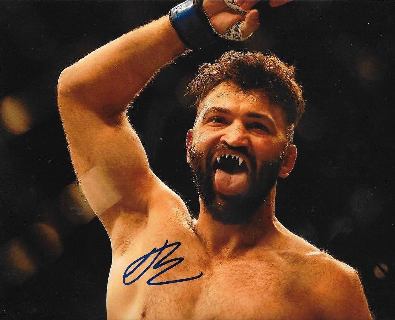 Andrei Arlovski signed UFC 8x10 Photo Poster painting autographed The Pitbull