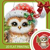 2D/Flat Christmas DIY Diamond Art Acrylic Pendant Wall Door Decoration (Owl)