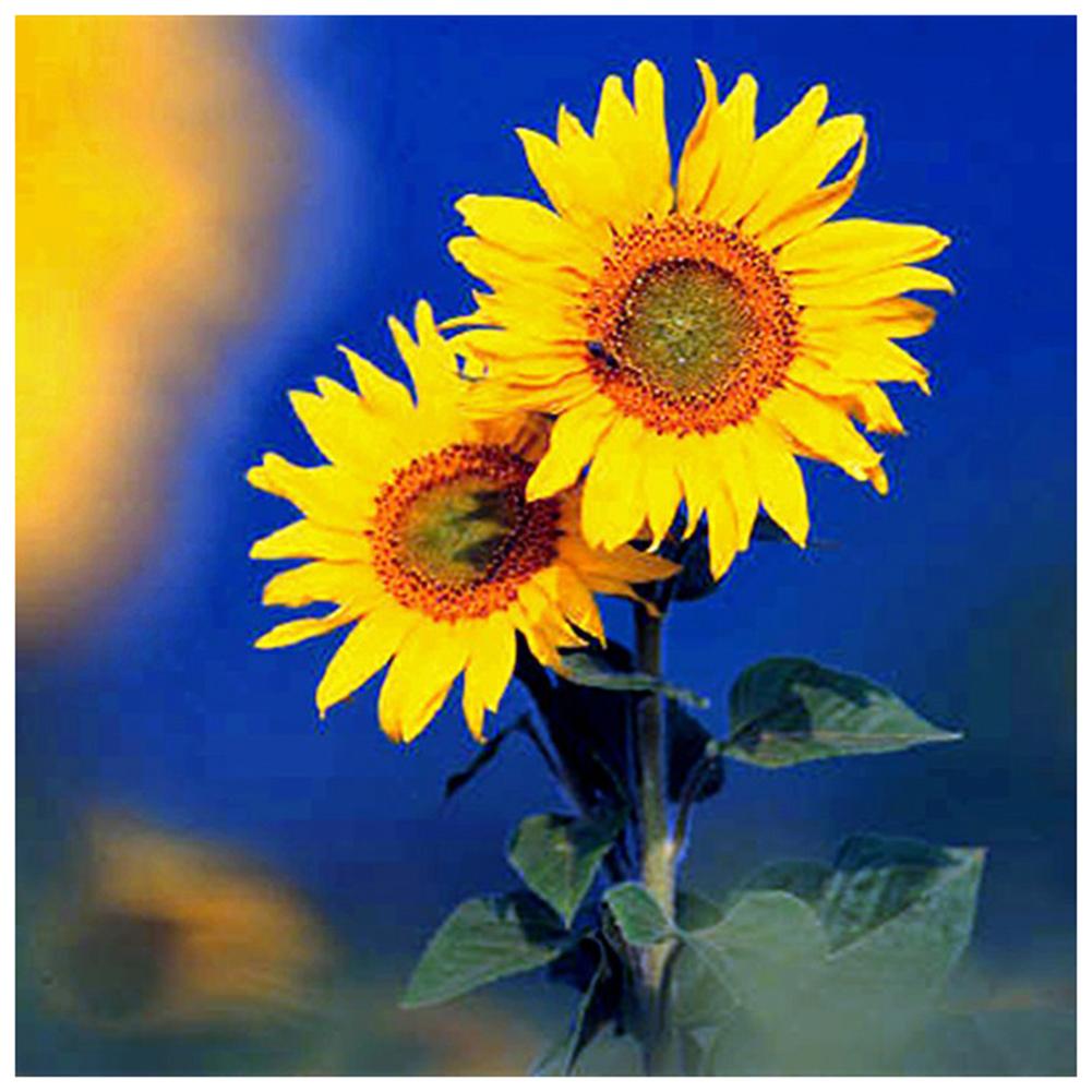 

30x30cm Round Drill Diamond Painting-Flower, 501 Original
