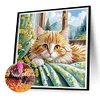 Chat-Peinture Diamant En Forme Sp&eacute;ciale-30*30CM