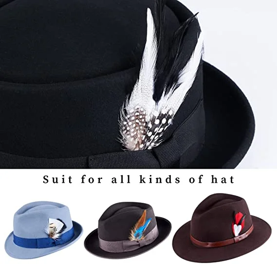 Hat Feathers, 10 Pcs Assorted Natural Feather Packs Accessories for Fedora,  Cowboy, Open Road, Borges, Scott, Trilby Hats