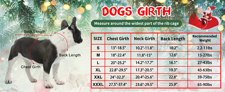 dog christmas costume