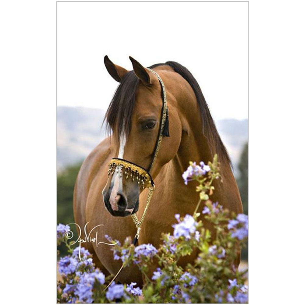 

30*40CM - Horse Flowers - Round Drill Diamond Painting, 501 Original