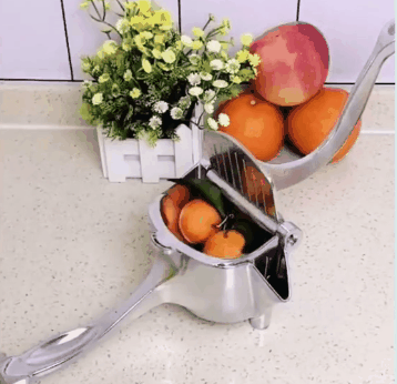 Manual Fruit Juicer – SPENSIFY