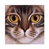 Cat | Full Round/Square Diamond Painting Kits | 20x20cm | 30x30cm