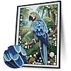Parrot-Special Shaped Diamond Painting