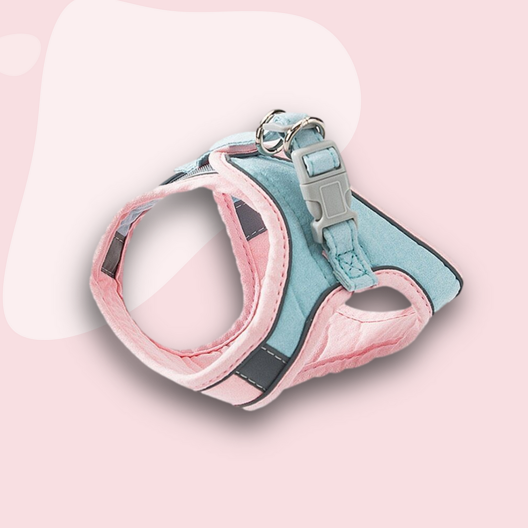 ExploraCat™️ - Cat Harness