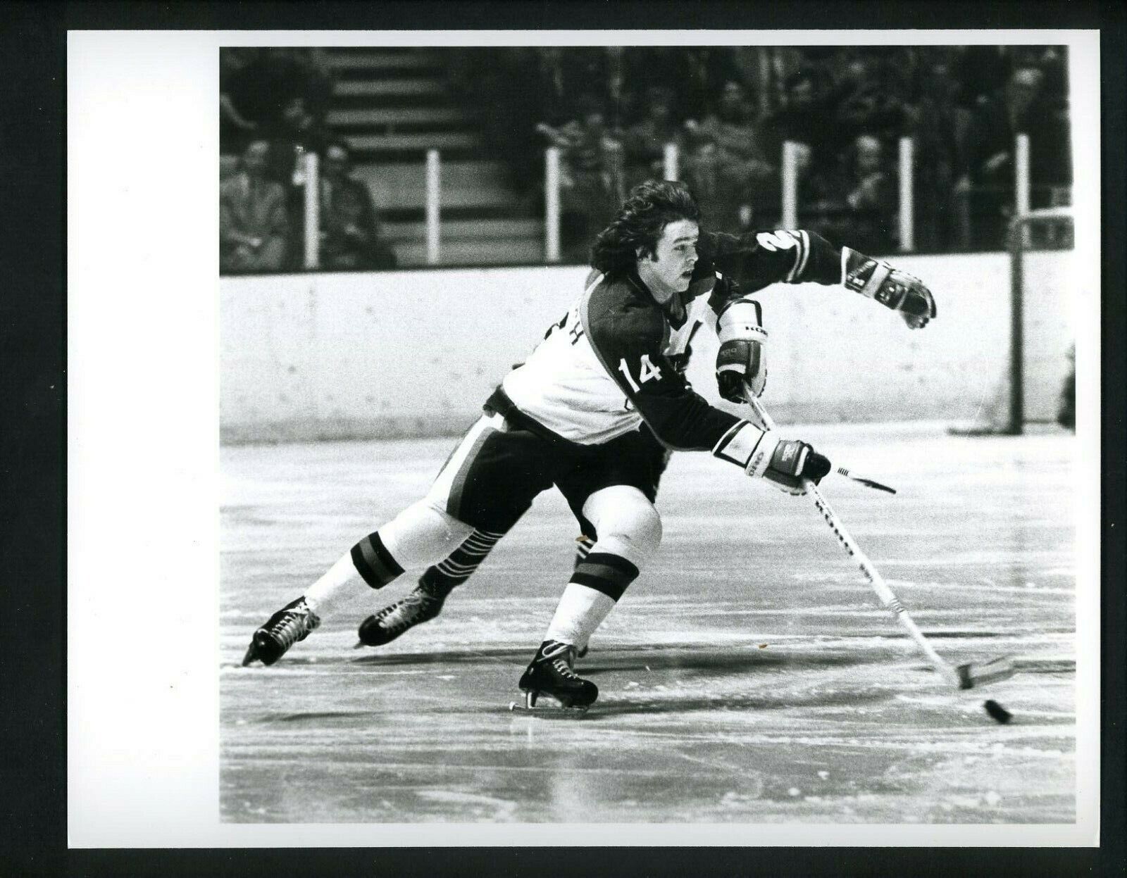 Don Murdoch in action circa 1970's Press Original Photo Poster painting New York Rangers