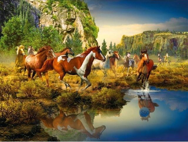 

Wild Horse Canyon – Paint By Numbers - 40*50CM, 501 Original