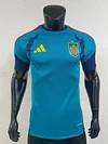 Spain 2026 blue training  World Cup Leaked Player Version