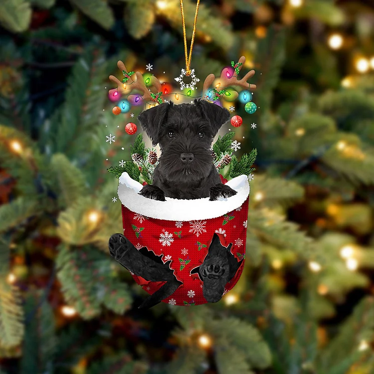 BLACK Miniature Schnauzer In Snow Pocket Christmas Ornament