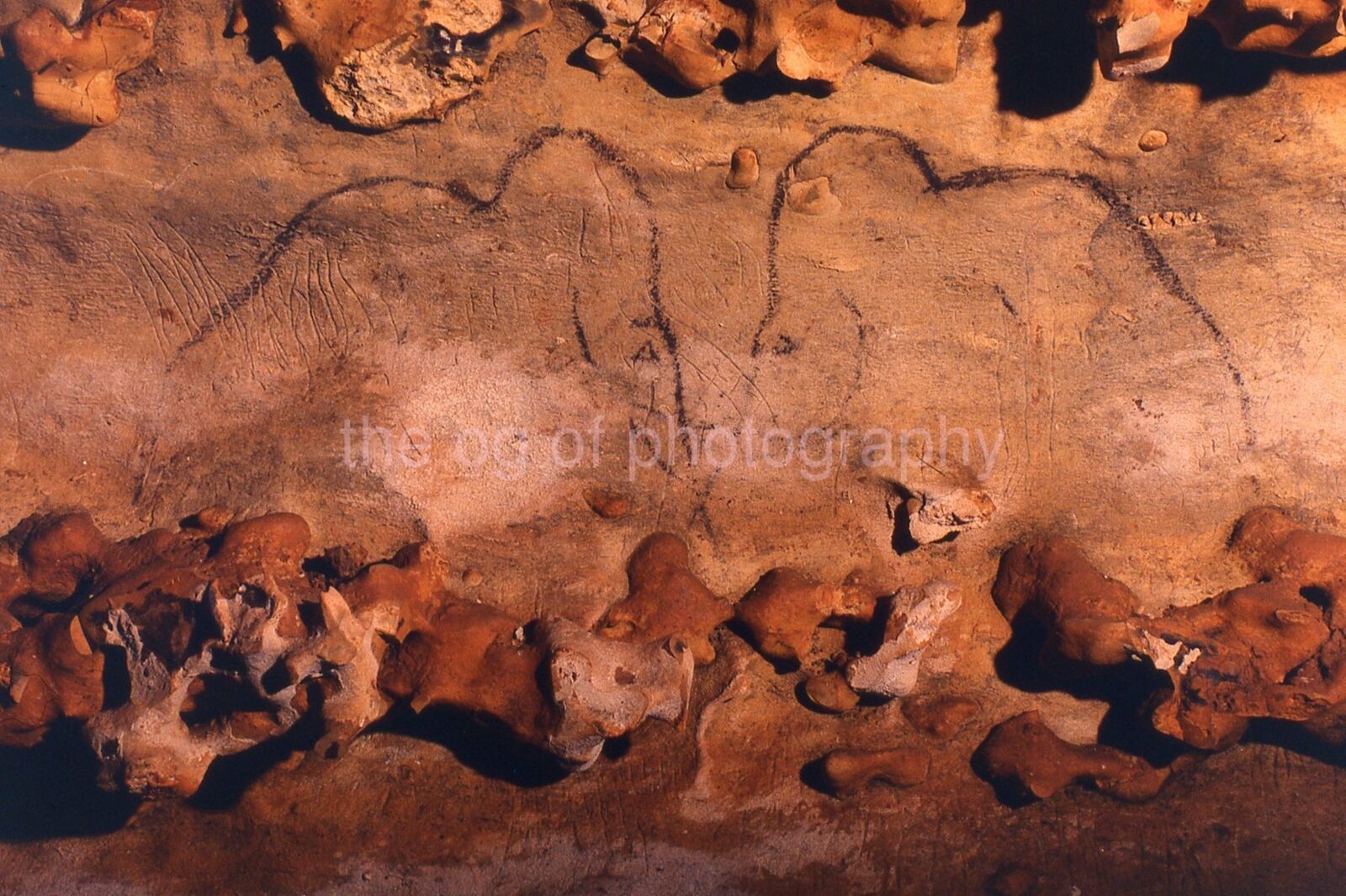 Prehistoric CAVE Art FOUND SLIDE Transparency ROUFFIGNAC France Photo Poster painting 011 T 2 H