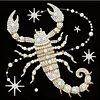 Scorpion DIY Pearl Art Diamond Painting Kit for Adult Home Decor 25x25cm With Frame