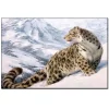 Alpine leopard | Full Round Diamond Painting Kits