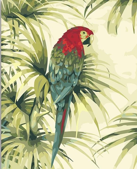 

Parrot With Red Head – Paint By Numbers - 40*50CM, 501 Original