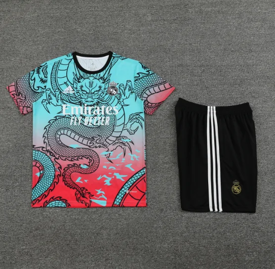 24/25 Real Madrid Training Kit Short Sleeve Football Shirt Thai Quality