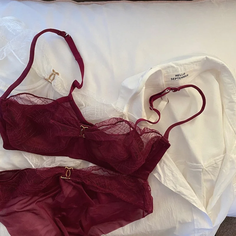 Wriufred Girl's pure color high sense lingerie with briefs set light luxury mesh sexy transparent bra set low waist panties