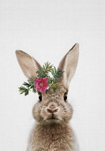 

Rabbit Flower Crown – Paint By Numbers - 40*50CM, 501 Original