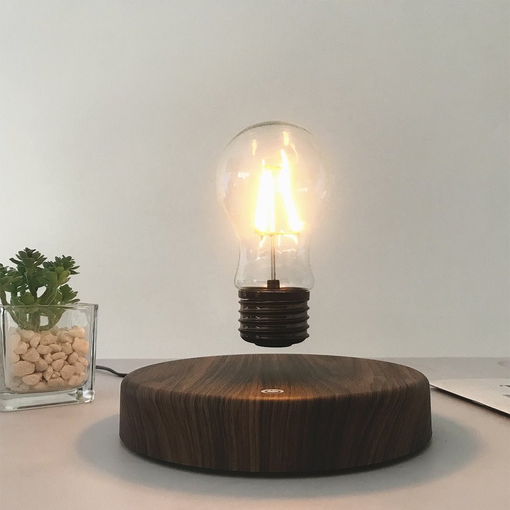 MAGNETIC LEVITATION LAMP