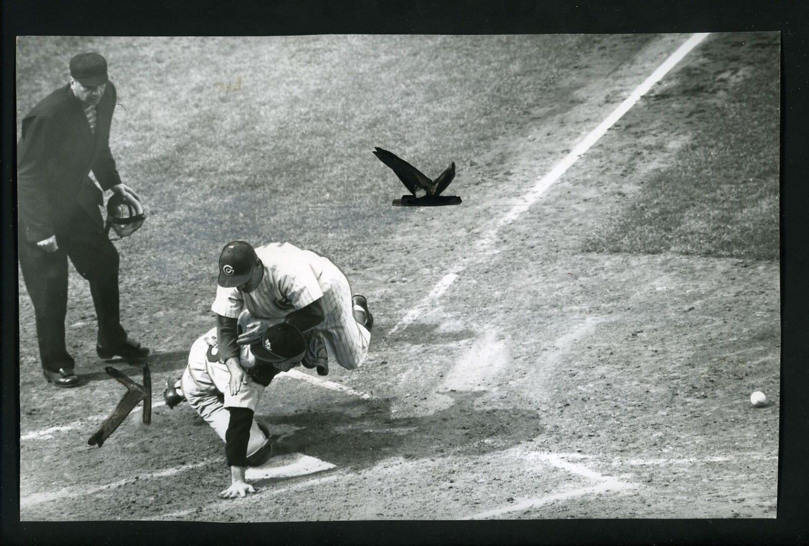 Bobby Adams Hal Smith Umpire Dascoli 1958 Press Wire Photo Poster painting Cardinals Cubs