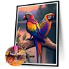 (5 Sizes)Parrot-Full Square Diamond Painting