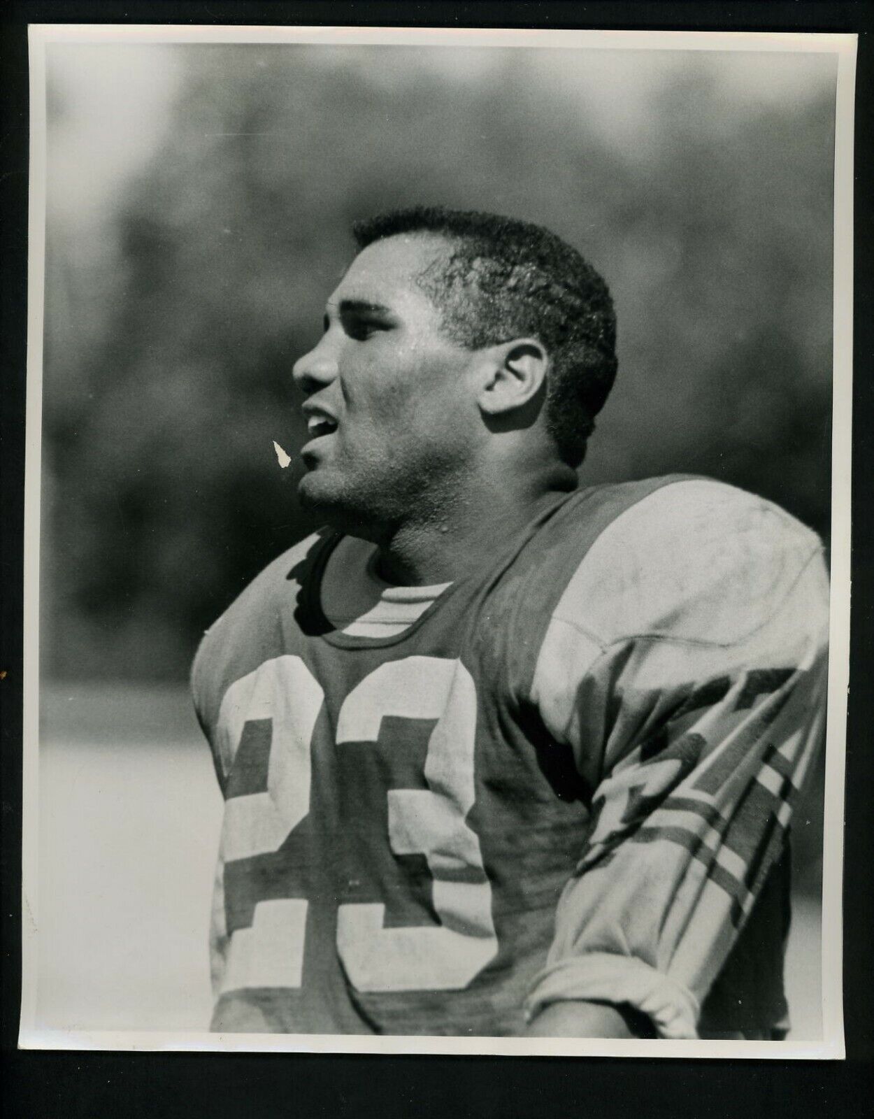 Lee Calland Minnesota Vikings Team Issued 1964 Press Photo Poster painting