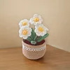 DIY Flower Potted Crochet Kit with Video Tutorial Cute Plants Hand-Knitted Tool