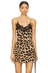 Siren Leopard Mini Dress