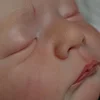 Babiesprincess Lifelike Reborn Baby Doll, Babiesprincess