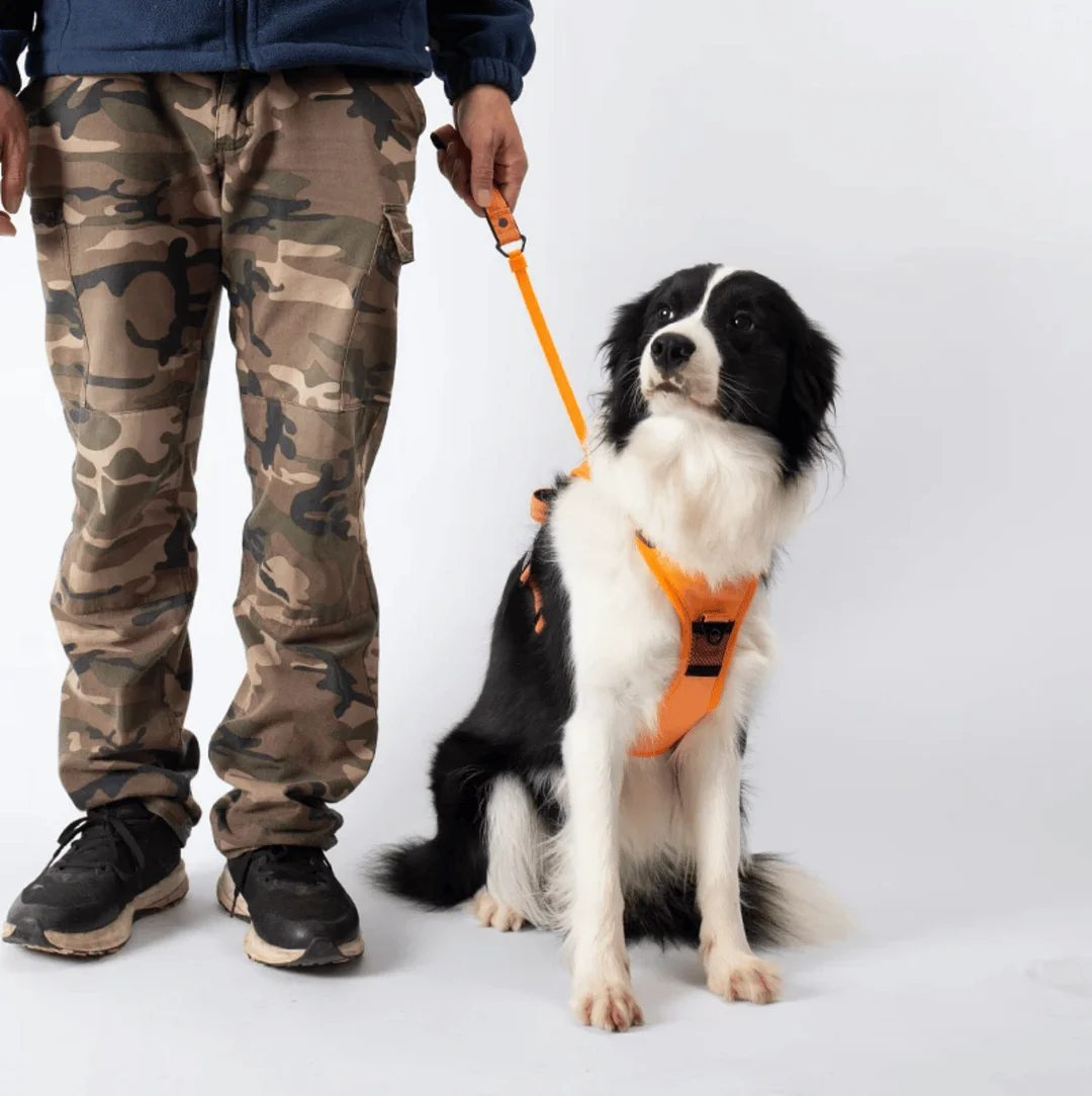 SmartPaw&trade;️ Harness + Leash - 2 in 1
