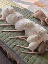 Handmade chubby white rat bag