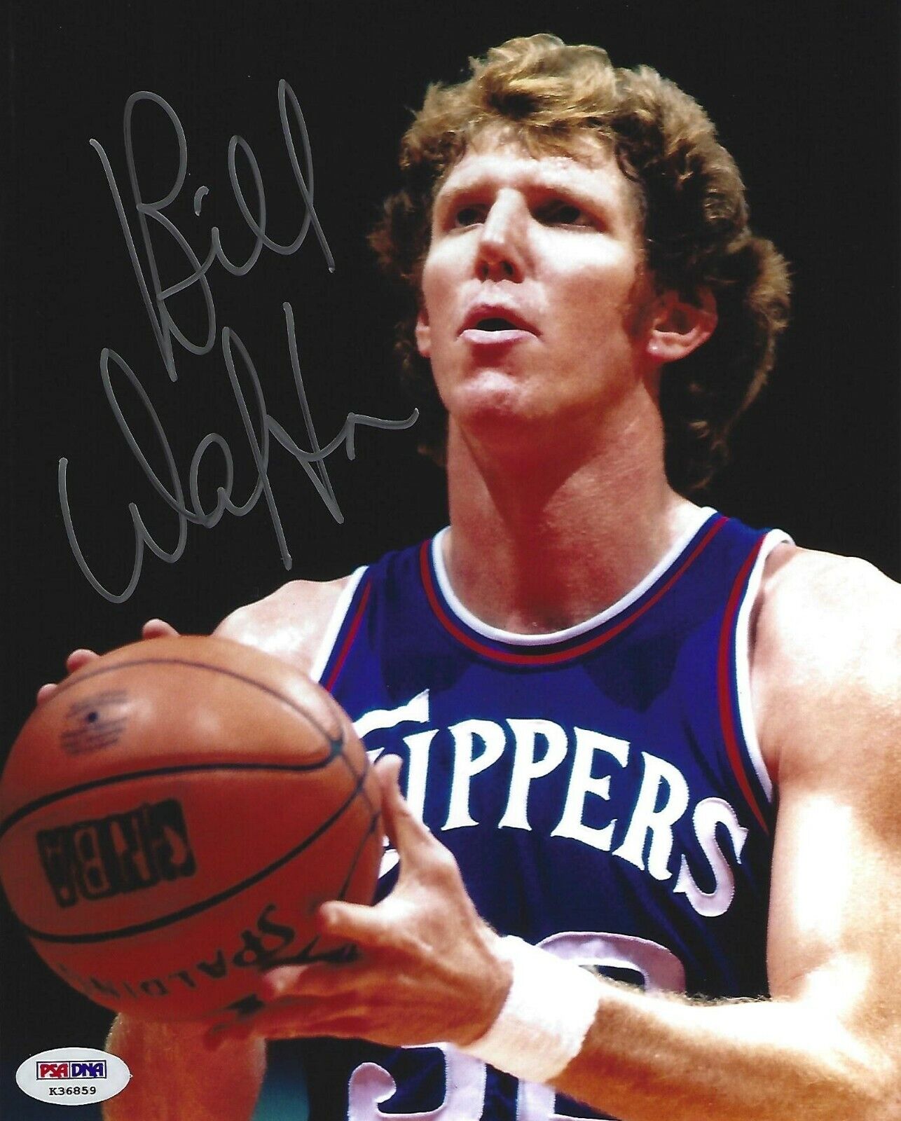 Bill Walton Signed Clippers Basketball 8x10 Photo Poster painting PSA/DNA COA Picture Autograph