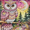 DIY Partial Special Shaped Drill Diamond Painting-Owl